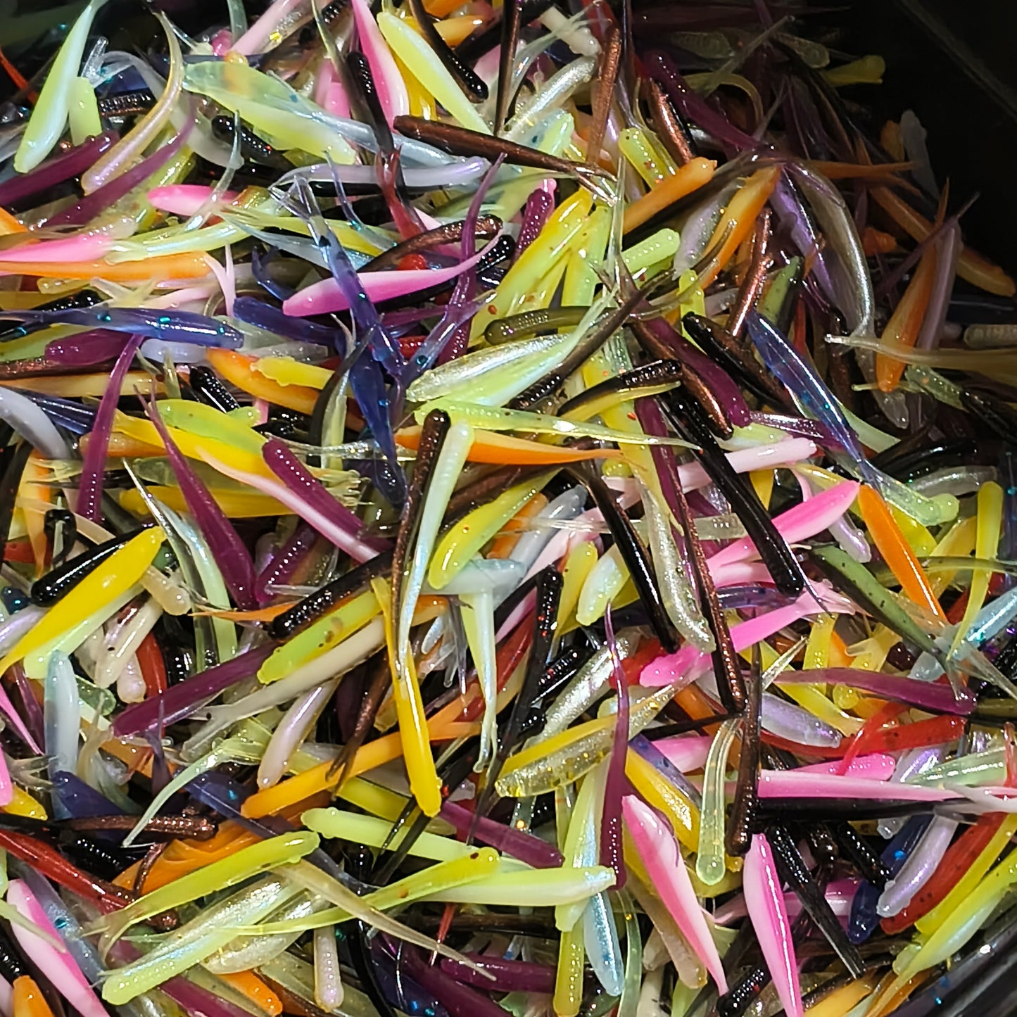Bulk bargain fry and pintails