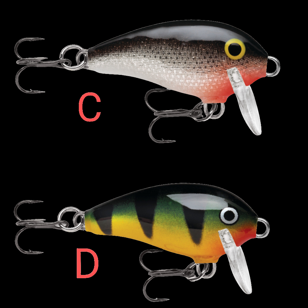 Rapala Mini Fat Rap