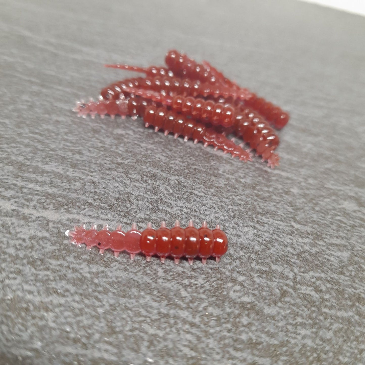 27mm Spiked Grub Qty 10